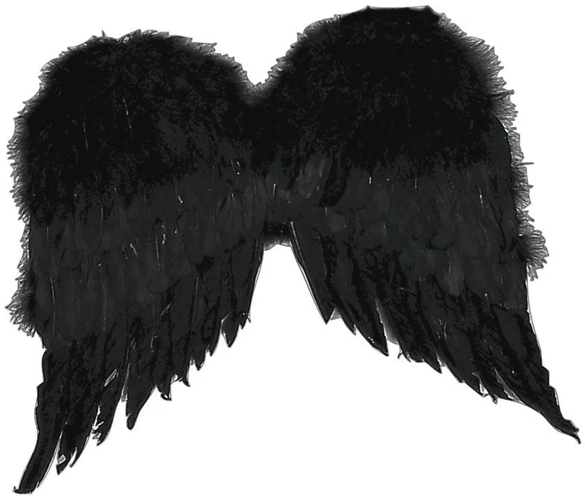 Black Feather Wings Costume Accessory