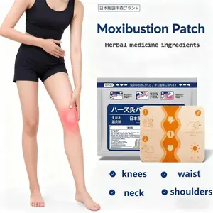 (2pcs)Multi-Use Herbal Heat Patches – Natural Comfort with Herbal Extracts, Easy to Apply, Long-Lasting Warmth, 7 Count,bonepainpatch thermal patch nihon brand