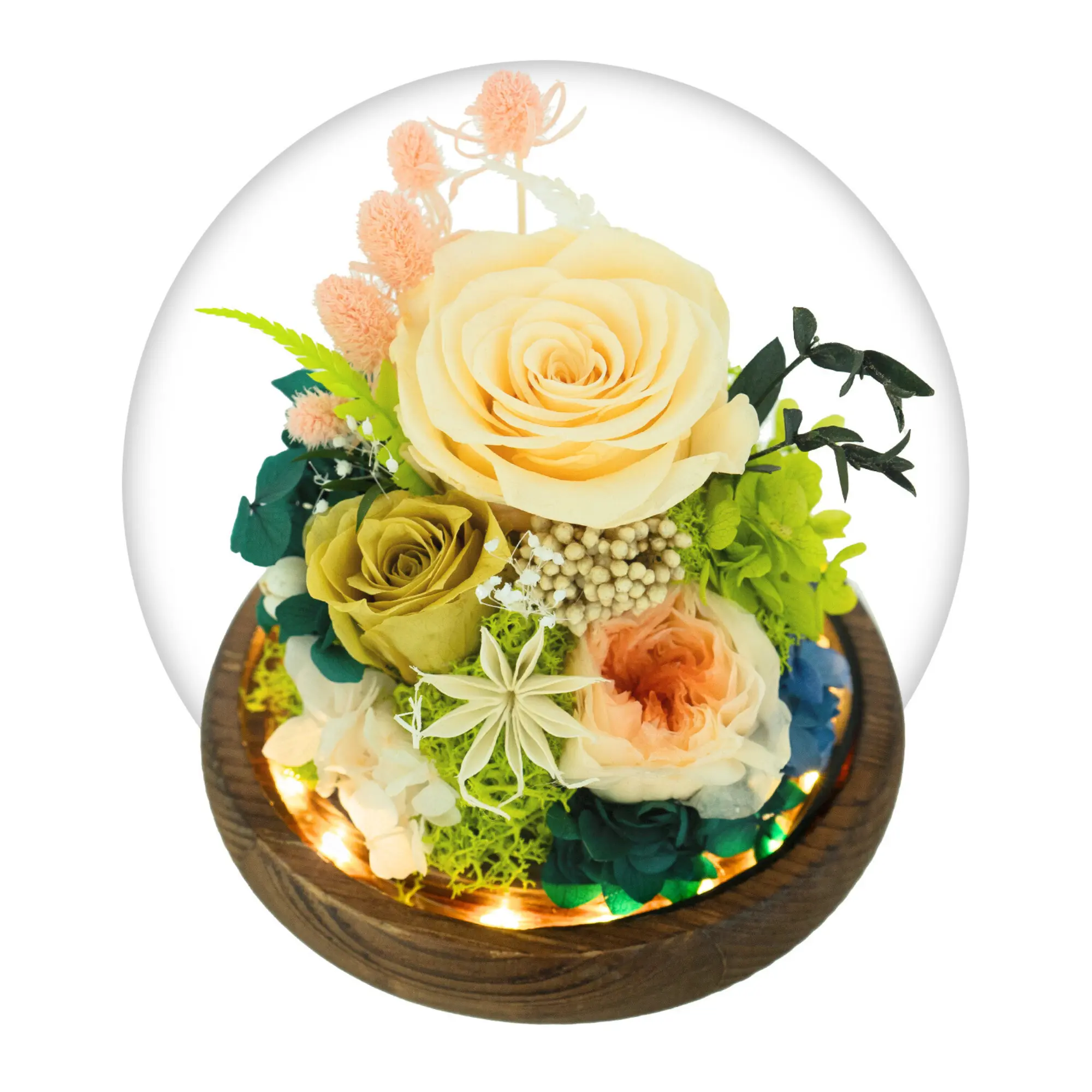 GLAMOUR BOUTIQUE Romance Promises Glass Dome Forever Yellow Decor Box - Glass Preserved Rose, Preserved Real Flowers, Decorative Home Gift