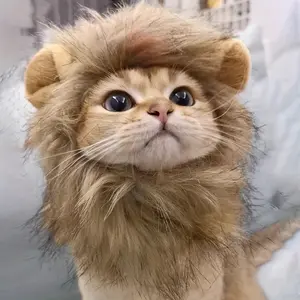 Cute Cat Lion Headband, Funny And Adorable, Cat Hat, Made of Polyester, for Photography