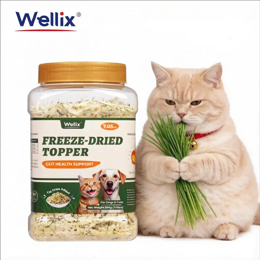 Best Treat for Your Pet! - With Chicken, Egg Yolk, Cranberry, Pumpkin and Cat Grass Supplements