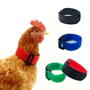 Comfortable Noise-Free Rooster Collar Set, Blue, Durable Adjustable Neck Strap, Quiet Healthy Chickens, Easy Use
