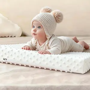 Baby Anti-Colic Slope Pad, Spill Proof Baby Pillow, Infant Newborn Feeding Cushion, Detachable Washable Inner Tube, Nursing Support