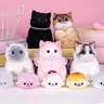 RAPOLL Large Taba Handmade Silicone Squeeze Toy - Hyperreal Kawaii Cat/Dog Simulation, Stress Relief Item for Autistic Kids, Quirky Whimsical Unique Cool Gift for Adults, Quirky Gifts, Cool Gifts For Adults