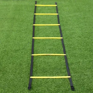 Agility Training Speed Ladder, 1 Set Portable Speed Training Ladder, Soccer Training Agility Ladder, Agility Training Equipment For Indoor & Outdoor Use
