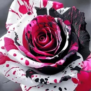 Unique Painted Roses – Add a Splash of Color to Your Garden