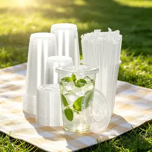 100-Pack Disposable Transparent Plastic Cold Drink Cups with Lids and Straws, 16oz/20oz/24oz Sturdy BPA-Free for Parties, Picnics, Travel (Festive & Party Disposable Tableware)