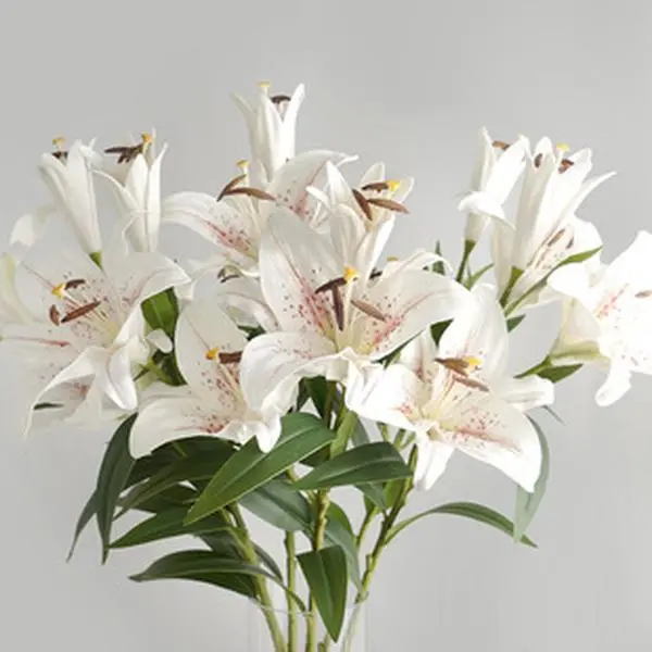 200 Pcs Mixed Double-Flowered Lily Seeds - Easy-to-Grow Perennial Flowering Seeds, Fragrant Non-GMO, Ideal for Gardeners, Garden Pots, Indoor Decor, Perennial Flowers, Outdoor Flowers
