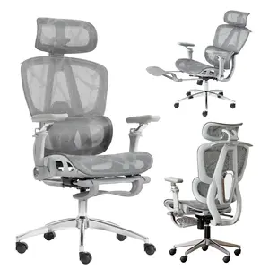 Mesh Ergonomic Office Chair with 6D Armrests,High Back Mesh Gaming Chair with Lumbar Support,Adjustable Seat Depth,3D Headrest,Footrest for Big & Tall(Silver)