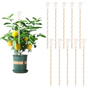 garden plant  Boost Plant Growth with 10 Copper Electroculture Antennas for Home Gardens & Outdoor Planters – Perfect for Home Gardeners