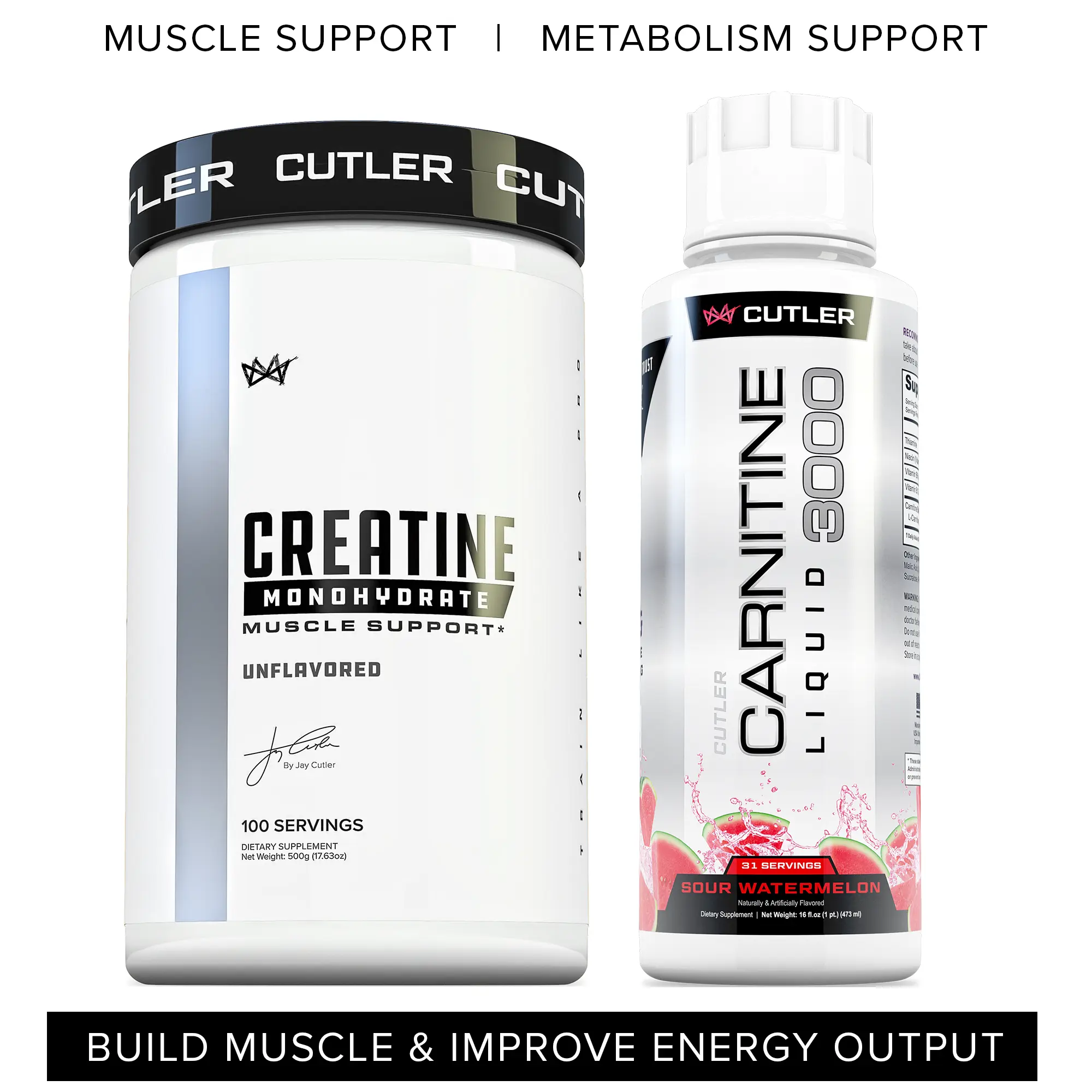 does bcaa have l carnitine