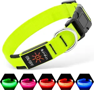 LED Dog Collar for Night Safety & Visibility