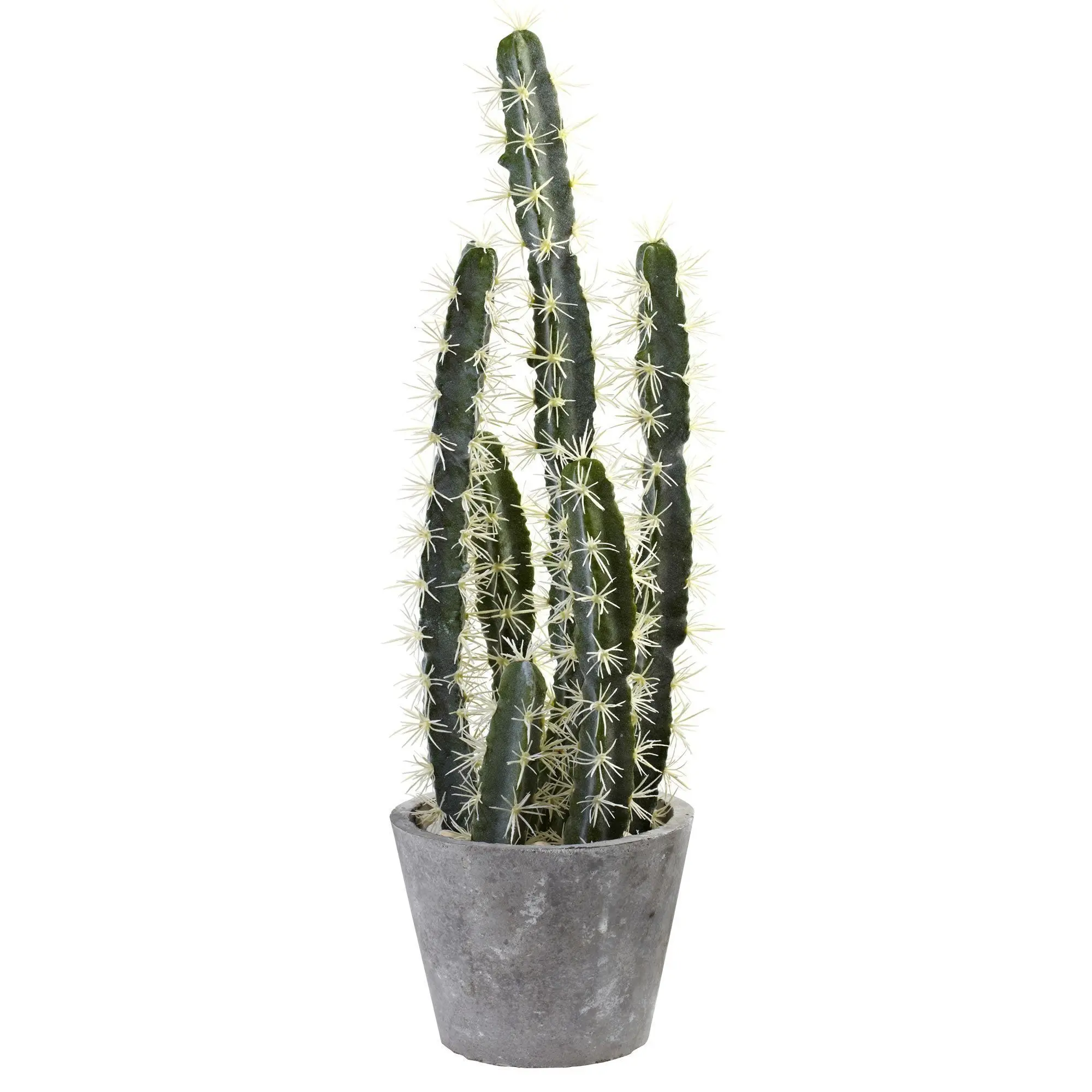 Tall Modern Indoor Succulent Cactus Garden with Cement Flower Pot - Easy Care, No Water or Upkeep Plant Decor for Office & Room (Home Improvement Garden Pots & Planters)