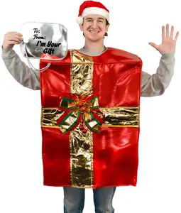 Adult Standard Gift Box Costume