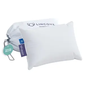 Down And Feather Travel Pillow