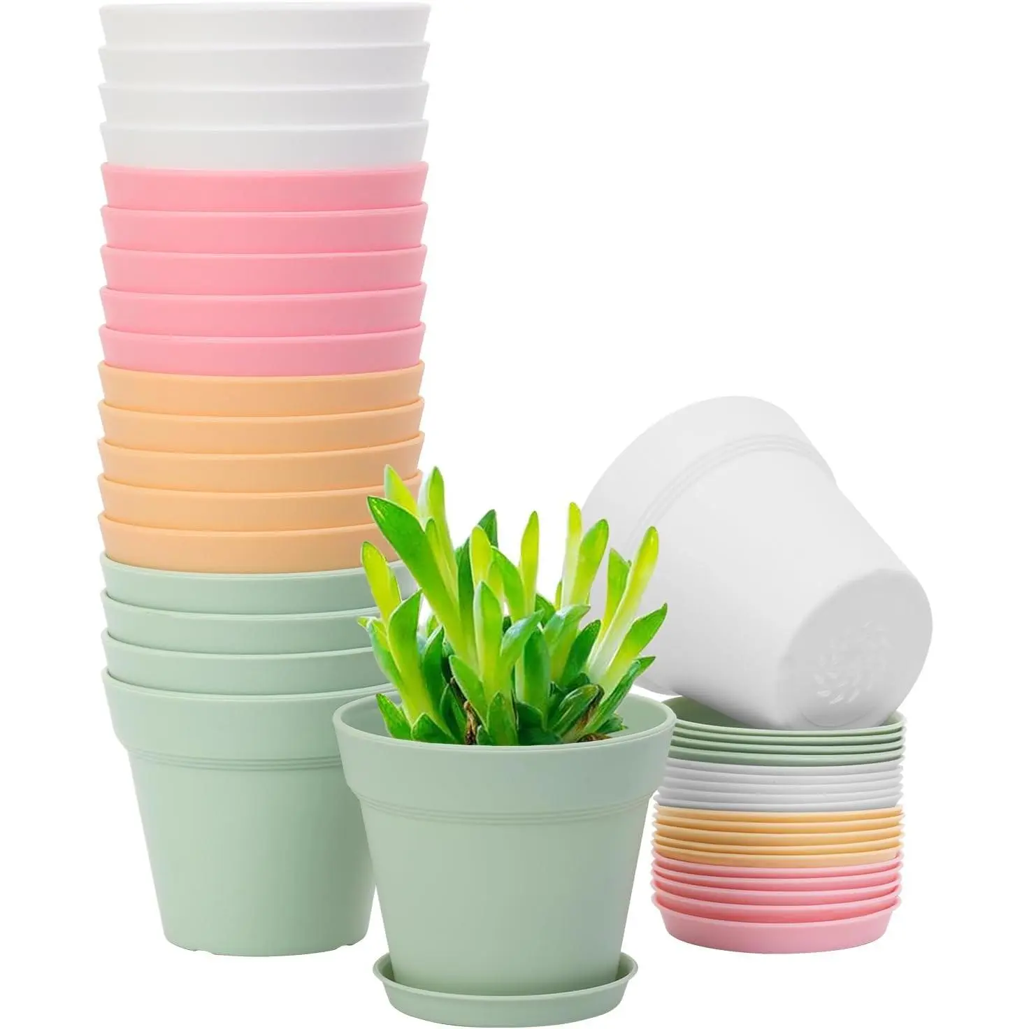 succulent arrangements in pots Prestige Succulent Planter main image 1