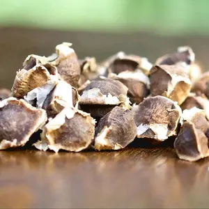 50PCS Moringa Seeds – Grow Your Own Miracle Tree, Nutrient-Dense, Non-GMO, Fast-Growing Planting Seeds