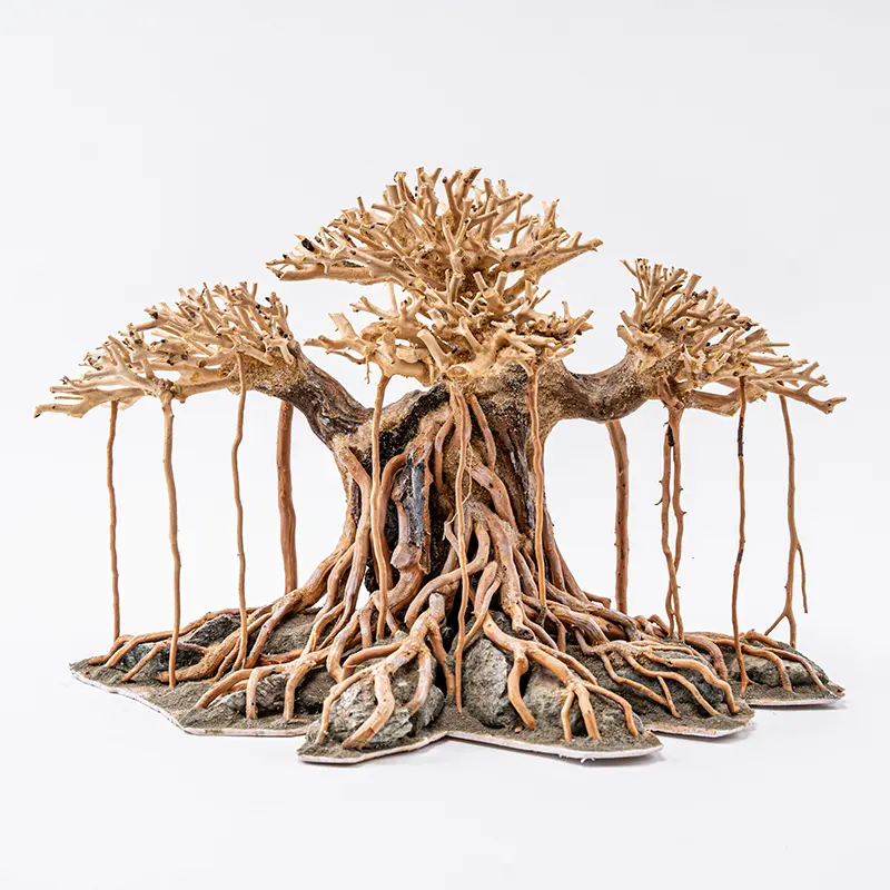 Aquarium Bonsai Tree