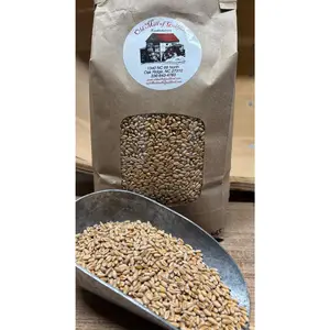 Old Mill of Guilford Organic Hard Red Wheat Grain Berries 3lbs - Certified Organic - 14% Protein