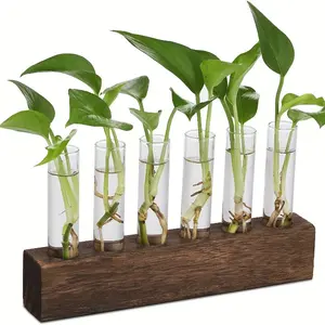 Tabletop and wall mounted glass flowerpot, plant spreading station with 6 test tubes, plant glass container for home office garden living room bedroom, gift for ladies
