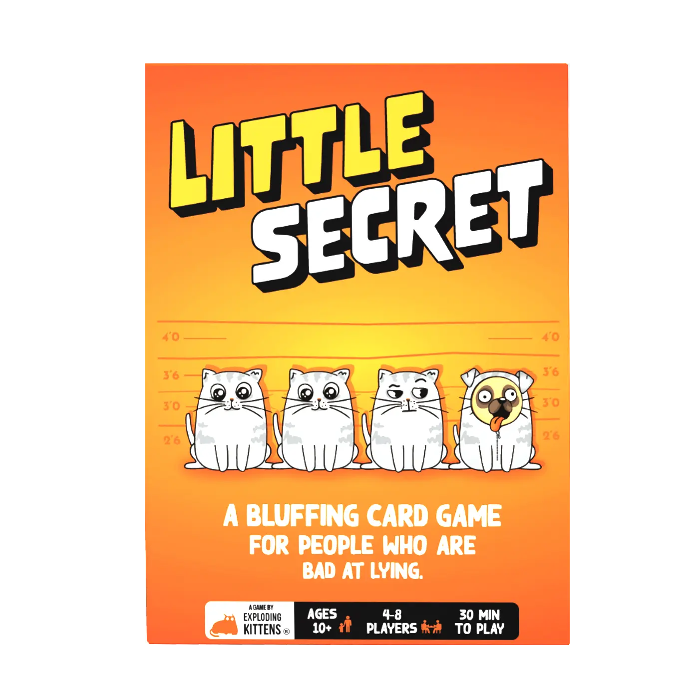 Little Secret