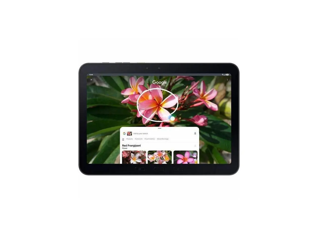 Samsung Galaxy Tab Active5 Pro 5G Enterprise Edition Rugged Tablet - 10.1" WUXGA - Qualcomm SM7635 Snapdragon 7s Gen 3 (4 nm) Octa-core - 8 GB - 256 GB Storage - 5G - Green - Cortex A720 Single-c