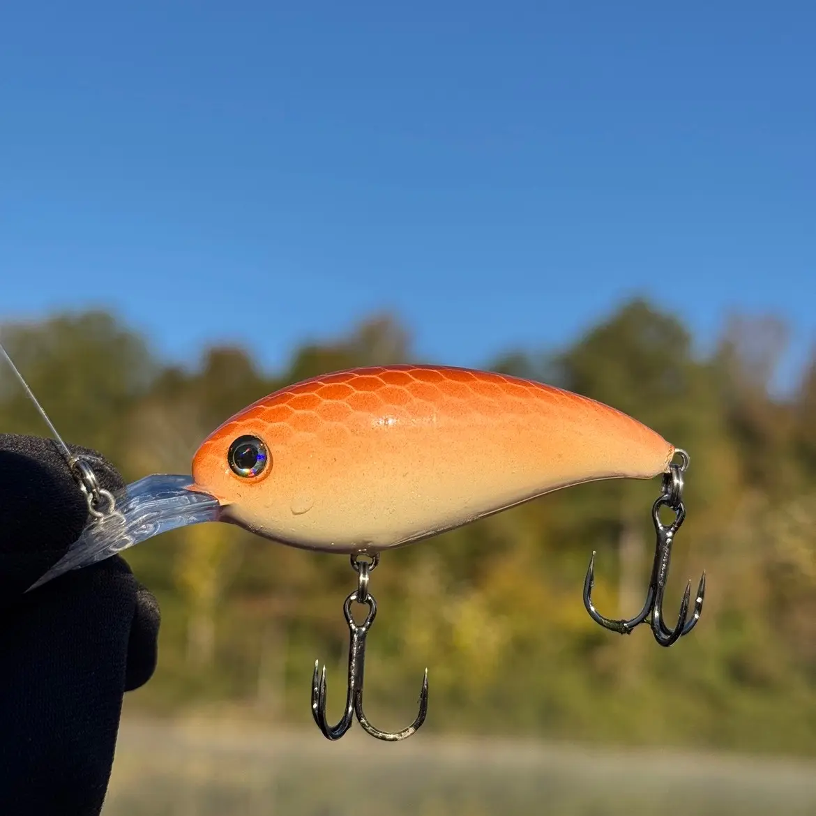 Hand-Painted Norm Style Crank Bait for Fishing