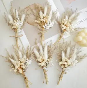 6 Pcs Boho Dried Pampas Grass Bouquet, Mini Fake Flower Arrangement for Home Desk Decor, Aesthetic Room Styling (INS Style)