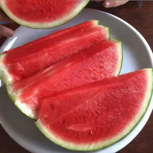 50 Pcs Sugar Baby Watermelon Seeds – Non-GMO Premium Fruit Seeds, Easy to Grow Mini Watermelons for Home Garden Planting