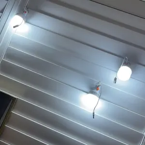 6-Pack Outdoor USB Rechargeable Handheld Flashlight, Ipx4 Waterproof LED Bulb, Portable Lantern Night Light, High Brightness with Hook, Camping Fishing, High Lumen Flashlight #GLOBAL PICKS