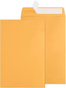 300 Pack 6x9 Catalog Envelopes - Brown Kraft Self Seal Security Small Mailing Envelopes for Documents, Cards, Photos, Office, Business