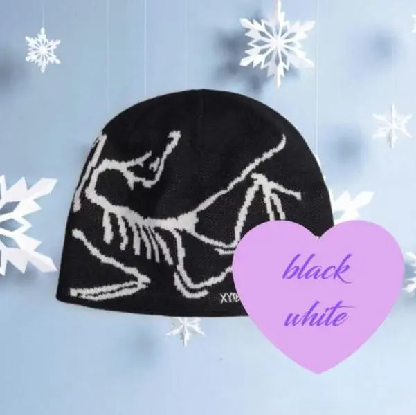 Arc'teryx Bird Head Toque Beanie, Premium Knit Winter Hat, Unisex Outdoor Hiking Essential #ArcteryxBeanie #arcteryx #beaniearcteryx #birdheadtoque #OutdoorGear