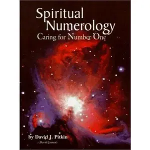 USED-Spiritual Numerology: Caring for Number One by David J. Pitkin (Paperback)