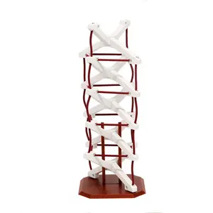 Tensegrity Spine Model - Learning & Education Model for Healthcare & Movement Professionals (Chiropractic, Physical Therapy, Massage Therapy, Yoga, Pilates, Personal trainers).  By DMB Education