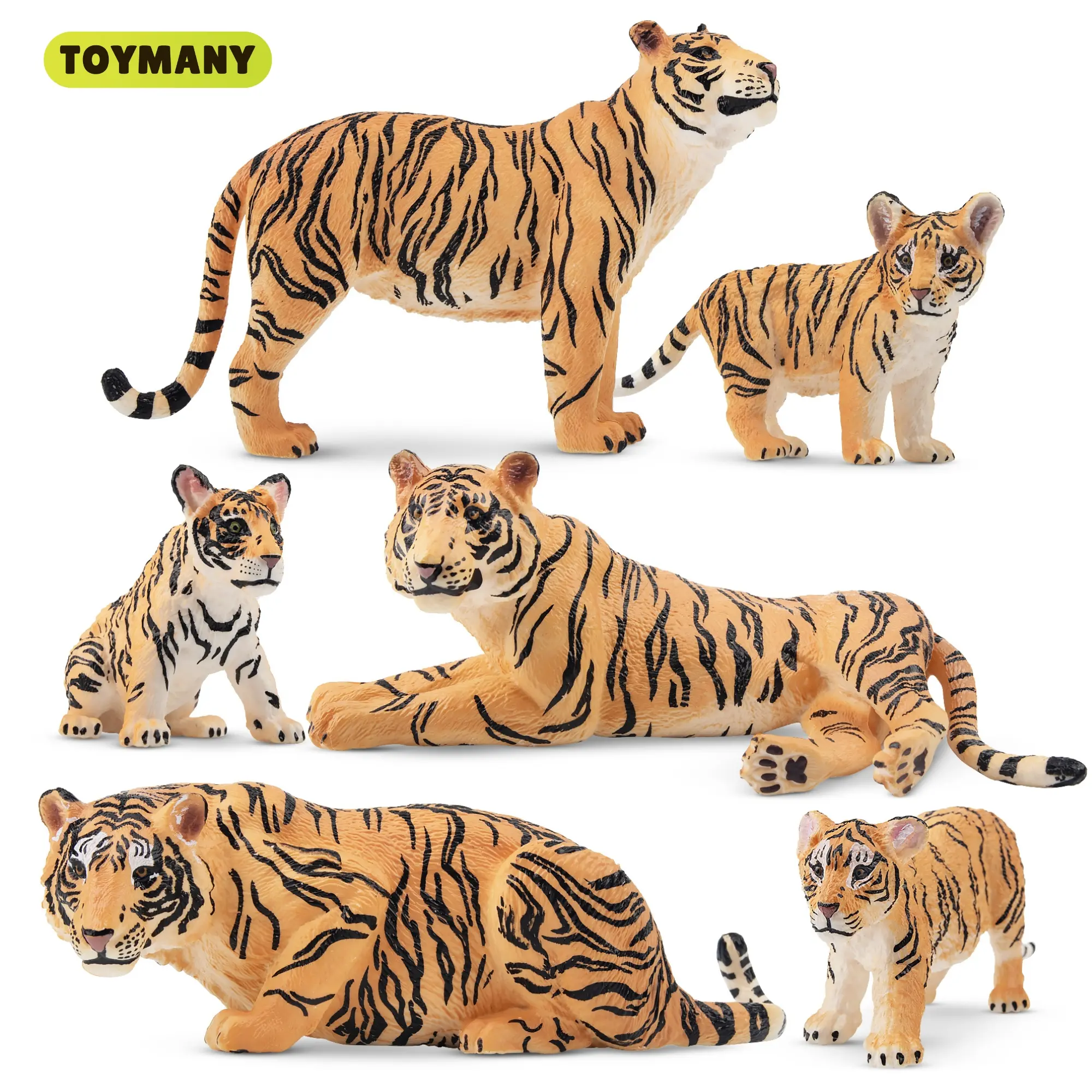 Toymany 6PCS Realistic Tiger Figurines with Cubs - 2-6in Miniature Realistic Animals, Collectible Decorative Ornamental Manipulatable Animal Figure Toys, Educational Gift for 3+ Kids, Cake Toppers, Decorative Ornamental Animals