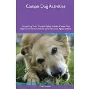 USED-Canaan Dog Activities Canaan Dog Tricks, Games & Agility. Includes: Canaan Dog Beginner to Advanced Tricks, Series of Games, Agility and More by Campbell, Dan (Paperback)