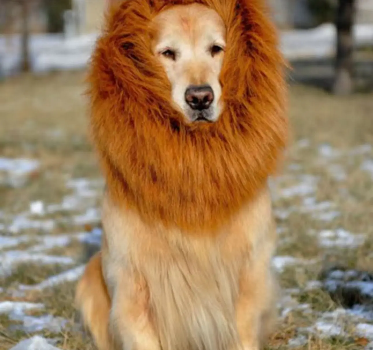 Brown Synthetic Fiber Lion Mane Dog Costume for Large Dogs, Golden Retrievers