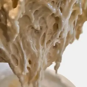 Papa Dough Dehydrated Sourdough Starter - Reliable Results & Authentic Flavor - Simple Revival with Water & Flour - Tested Consistency for Every Baker