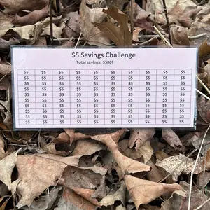 Laminated $5 Money Savings Challenge