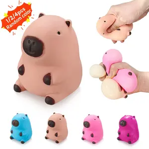 Colorful Squeeze Toys Set (1/2/4 Pieces), Soft Plastic Toy, Kawaii Squishies, Decompression Squeeze, Cute Water Pig Stress Relief Gift, Birthday Party Favors, Random Colors & Styles