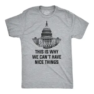 This Is Why We Can't Have Nice Things T Shirt Funny Anti Capitol Political Tee Mens Funny T Shirts Cool Vintage Fashion T-Shirt Gift Classic Menswear Funny Political Short Sleeve Novelty Tees for Guys Light Grey