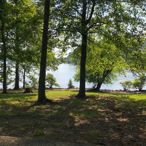 Brittbrat Hobby Farm