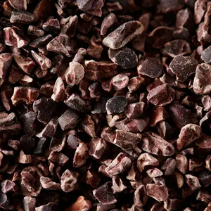 Cacao Beans – Raw Chocolate in Its Purest Form | Ancient Superfood for Snacking, Baking & Brewing