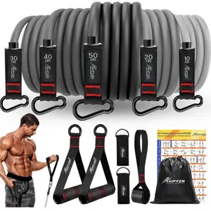 Resistance Bands, Exercise Bands with Handles, Fitness Bands, Workout Bands with Door Anchor and Ankle Straps, for Heavy Resistance Training, Physical Therapy, Shape Body, Yoga, Home Workout Set