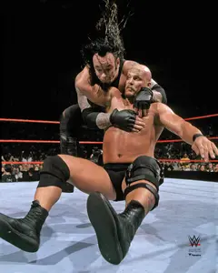 Stone Cold" Steve Austin WWE Unsigned Stunner on Undertaker Photograph