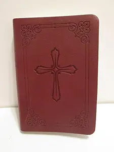 USED-NIV Take-It-Anywhere Compact Bible by Zondervan (Unknown)