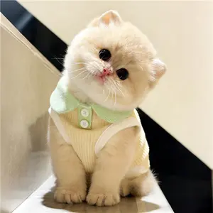 Dog & Cat Clothes You Need This Season Best Outfits for Small Dogs and Cats Stylish Pet Clothes Every Pet Lover Wants Cute Daily Wear for Puppies & Kittens