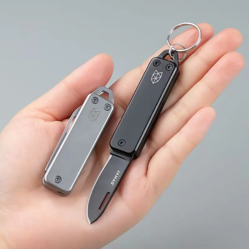 Mini Folding Knife Keychain, Stainless Steel EDC Pocket Knife with Compact Sharp Blade, Portable Camping and Outdoor Tool, Versatile Tool, Folding Pocket Knife Keychain Tool, Unisex Gift, Portable Multipurpose Knives, Outdoor EDC Tools