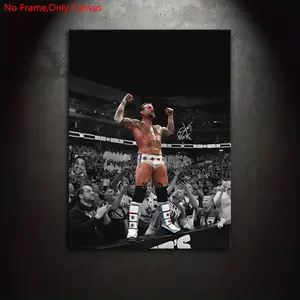 1 Piece/Set Frameless Canvas Painting Print Poster Artwork, Classic Realism Sports Pop Art, Superstar CM Punk Victory, Gift for Professional Wrestling Fans, Gift for Bedroom, Living Room, Mural, Wall Decoration, Room Decor, Home Decor Products