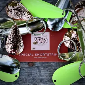 Fishing Casting Spoon Keychain